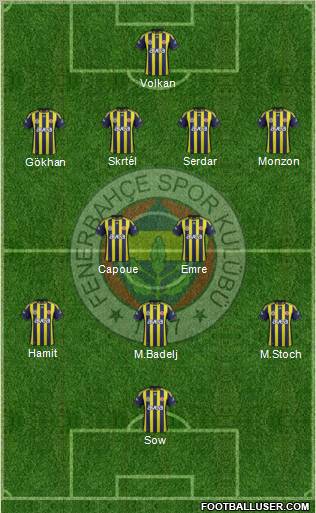 Fenerbahçe SK Formation 2012