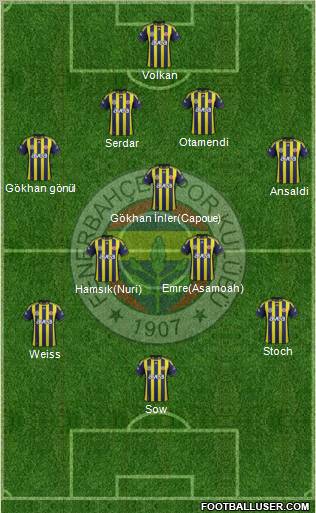 Fenerbahçe SK Formation 2012