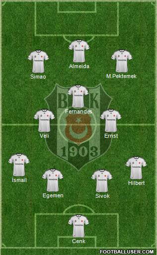 Besiktas JK Formation 2012