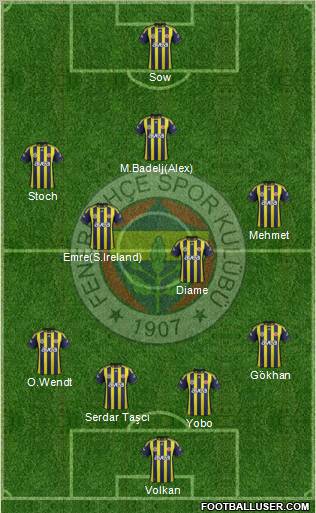 Fenerbahçe SK Formation 2012