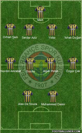 Fenerbahçe SK Formation 2012