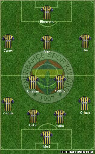 Fenerbahçe SK Formation 2012