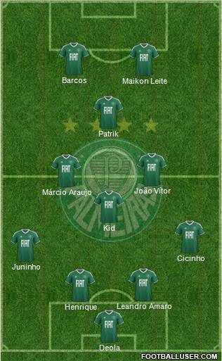 SE Palmeiras Formation 2012
