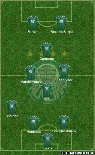 SE Palmeiras Formation 2012
