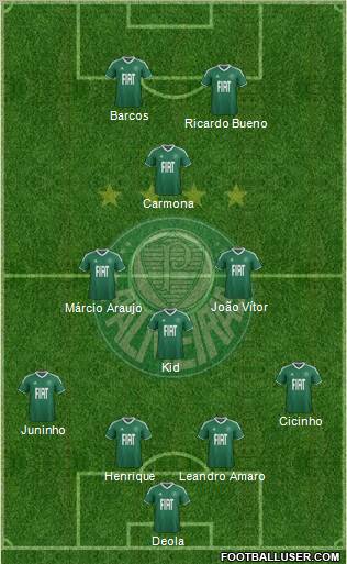 SE Palmeiras Formation 2012
