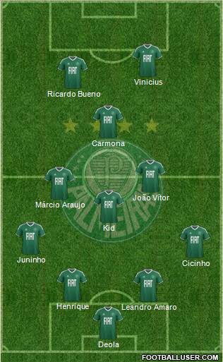 SE Palmeiras Formation 2012