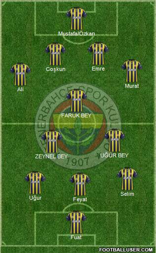 Fenerbahçe SK Formation 2012