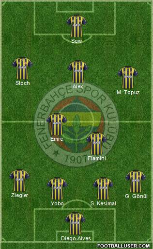 Fenerbahçe SK Formation 2012