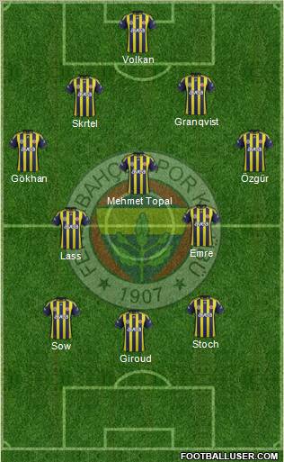 Fenerbahçe SK Formation 2012