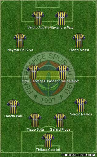 Fenerbahçe SK Formation 2012