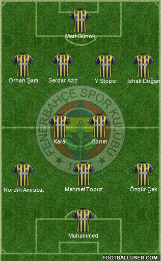 Fenerbahçe SK Formation 2012