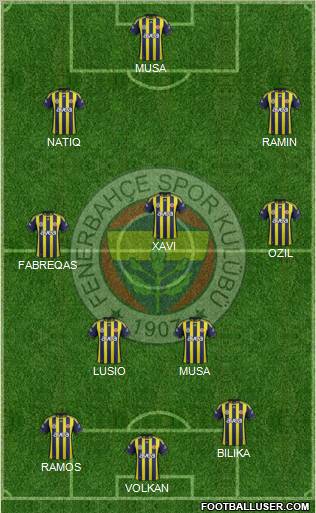 Fenerbahçe SK Formation 2012