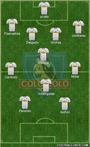 CSD Colo Colo Formation 2012