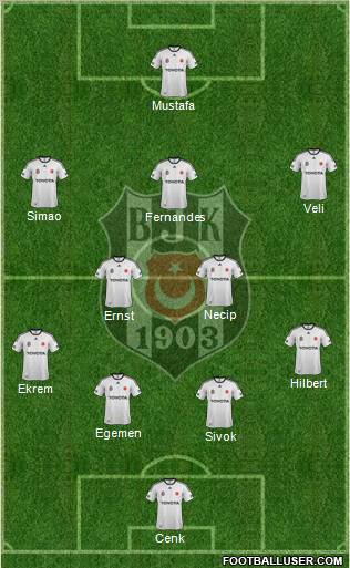 Besiktas JK Formation 2012