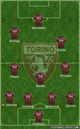 Torino Formation 2012