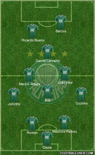 SE Palmeiras Formation 2012
