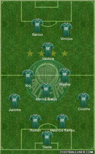 SE Palmeiras Formation 2012