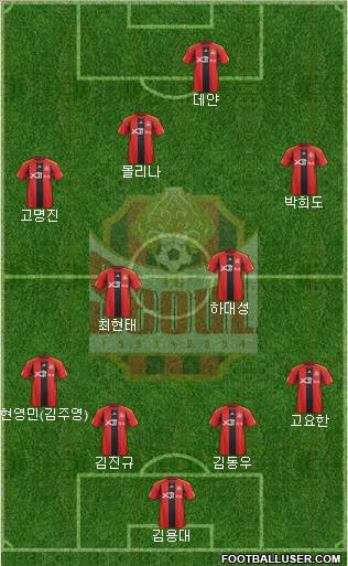 FC Seoul Formation 2012