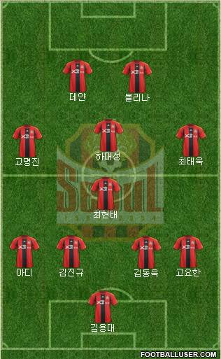 FC Seoul Formation 2012