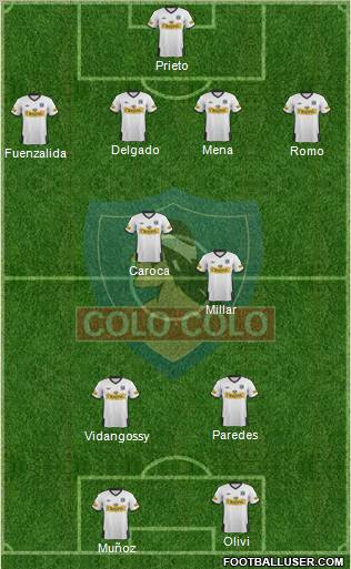 CSD Colo Colo Formation 2012
