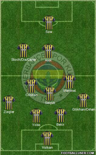 Fenerbahçe SK Formation 2012