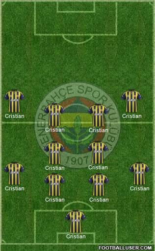 Fenerbahçe SK Formation 2012