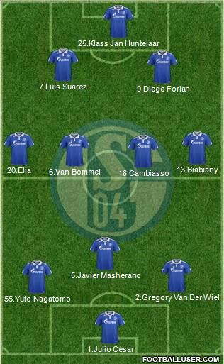 FC Schalke 04 Formation 2012