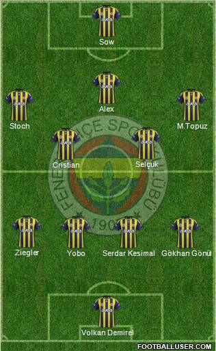 Fenerbahçe SK Formation 2012