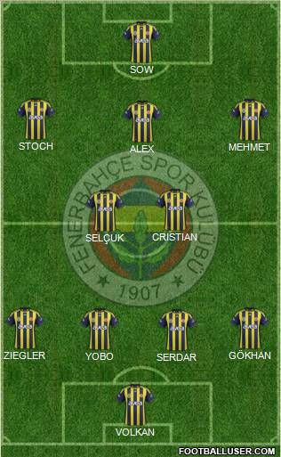 Fenerbahçe SK Formation 2012