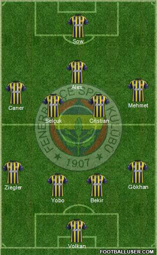 Fenerbahçe SK Formation 2012