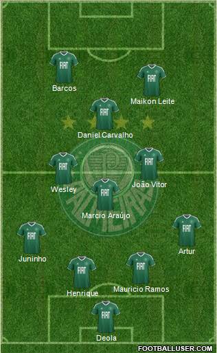 SE Palmeiras Formation 2012