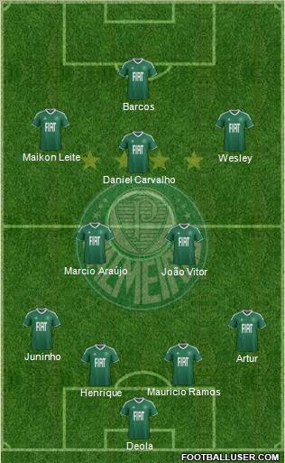 SE Palmeiras Formation 2012
