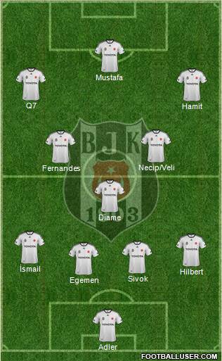 Besiktas JK Formation 2012