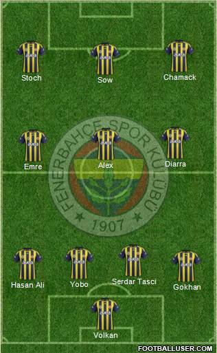 Fenerbahçe SK Formation 2012