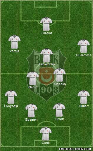 Besiktas JK Formation 2012