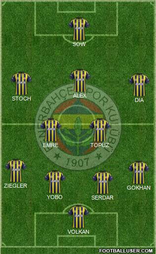 Fenerbahçe SK Formation 2012