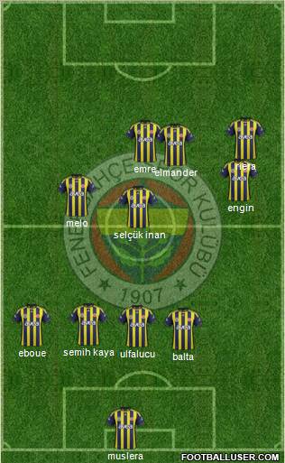 Fenerbahçe SK Formation 2012