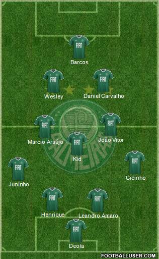 SE Palmeiras Formation 2012