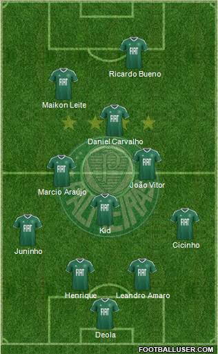 SE Palmeiras Formation 2012