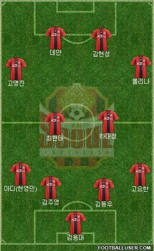 FC Seoul Formation 2012