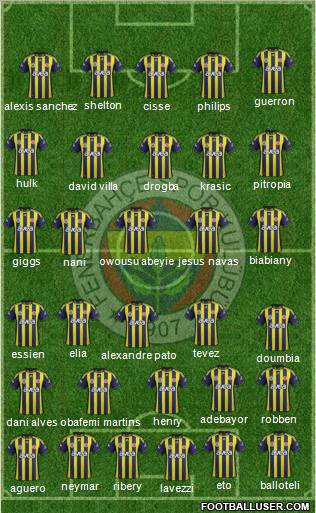 Fenerbahçe SK Formation 2012