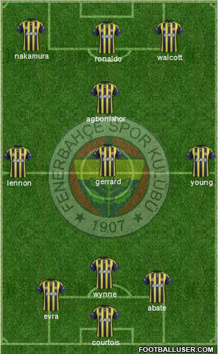Fenerbahçe SK Formation 2012