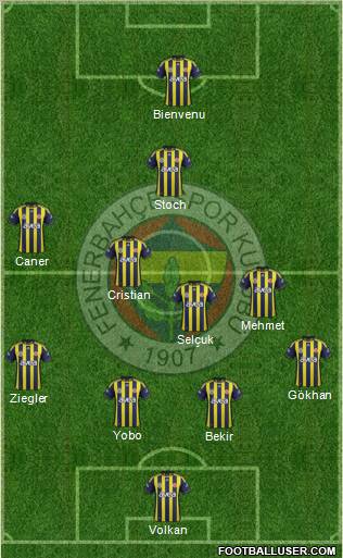 Fenerbahçe SK Formation 2012