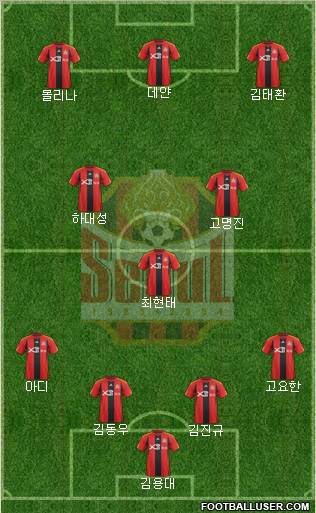 FC Seoul Formation 2012