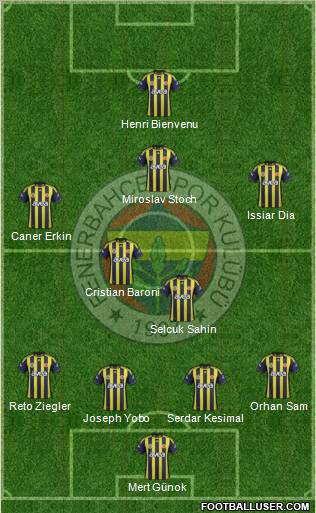 Fenerbahçe SK Formation 2012