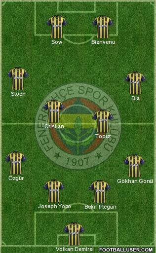 Fenerbahçe SK Formation 2012