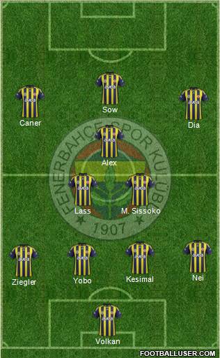 Fenerbahçe SK Formation 2012