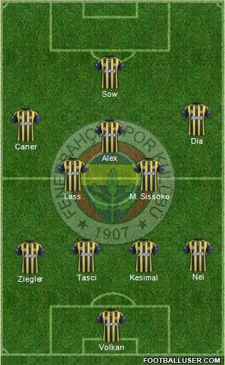 Fenerbahçe SK Formation 2012
