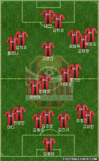 FC Seoul Formation 2012