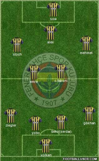 Fenerbahçe SK Formation 2012